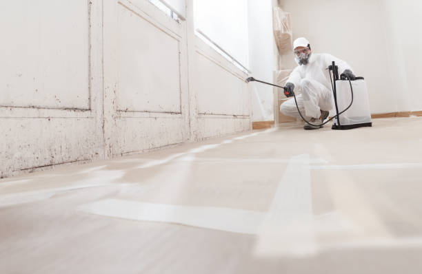 24/7 Emergency Mold Removal experts in Naples, TX